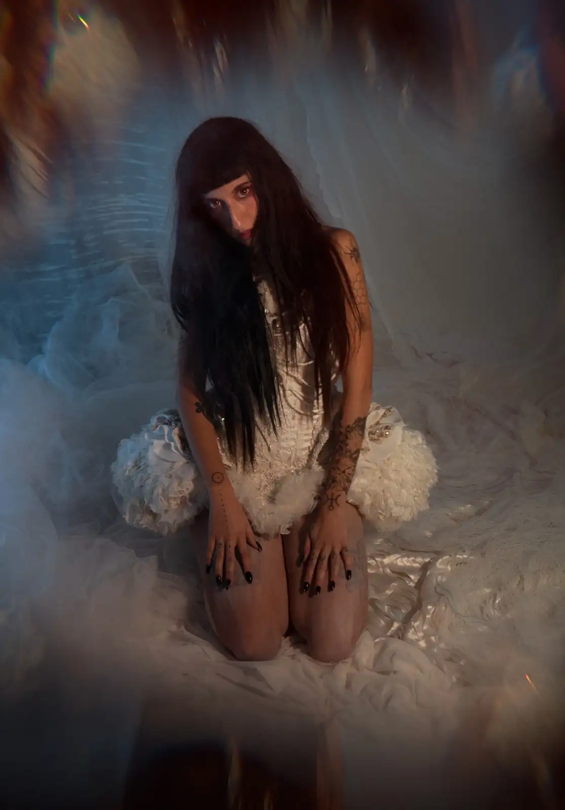 Foto de Modern Nature - Coconauta